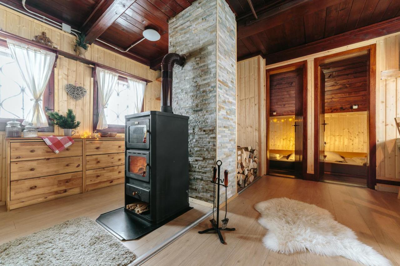 Chalet Tisa Velika Planina Stahovica Luaran gambar
