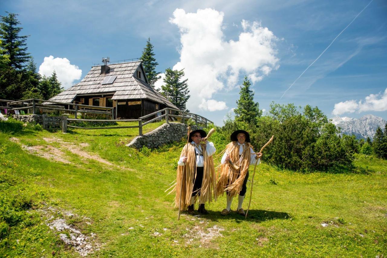 Chalet Tisa Velika Planina Stahovica Luaran gambar