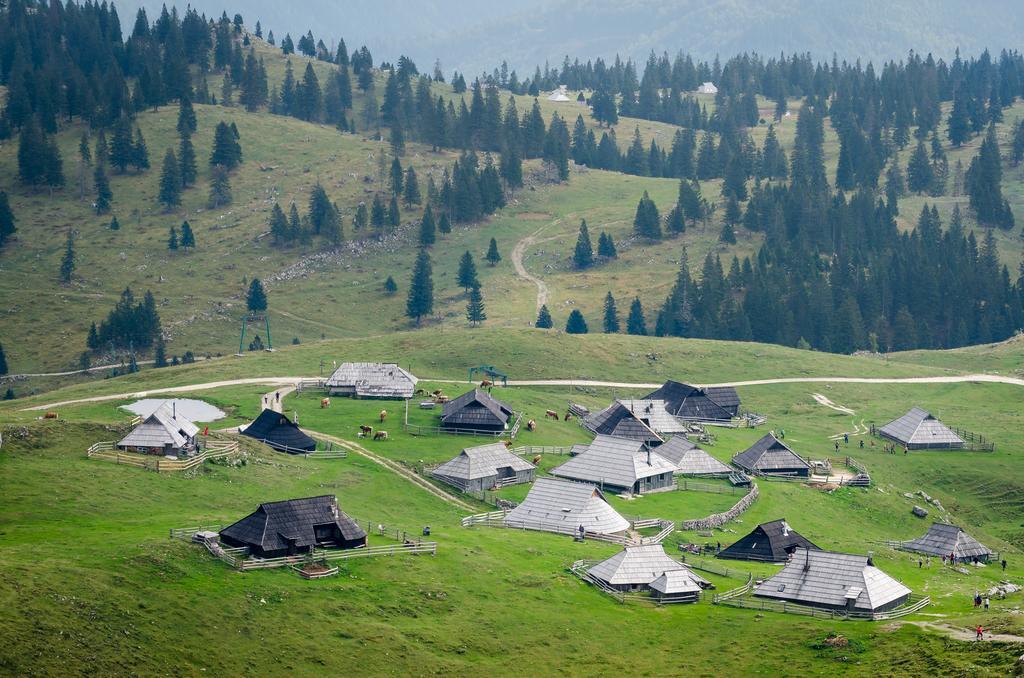 Chalet Tisa Velika Planina Stahovica Bilik gambar