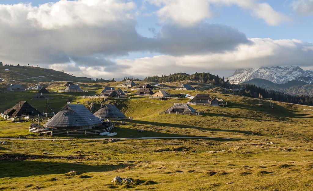 Chalet Tisa Velika Planina Stahovica Bilik gambar