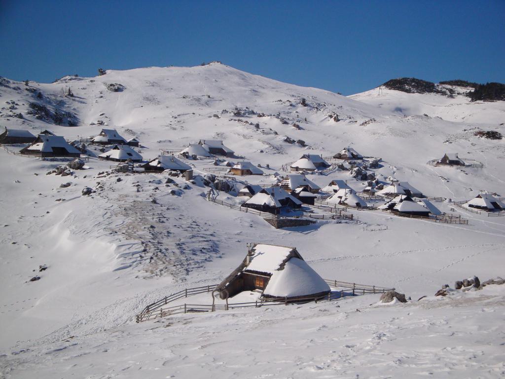 Chalet Tisa Velika Planina Stahovica Bilik gambar