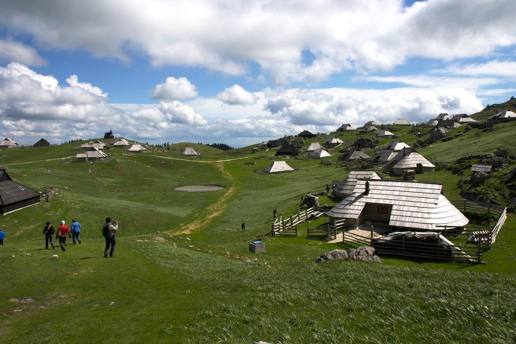 Chalet Tisa Velika Planina Stahovica Bilik gambar
