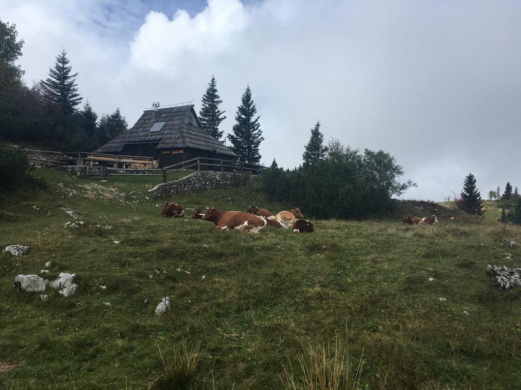 Chalet Tisa Velika Planina Stahovica Luaran gambar