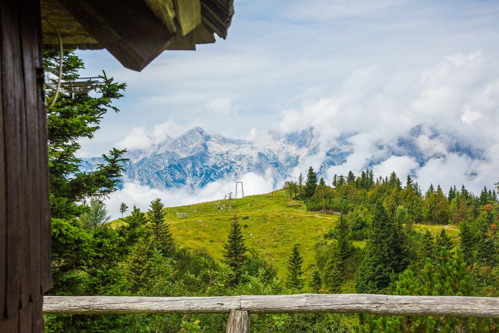 Chalet Tisa Velika Planina Stahovica Luaran gambar