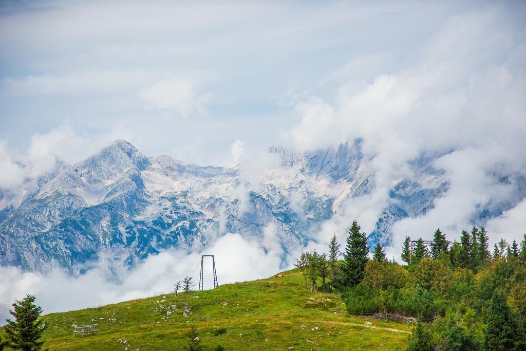 Chalet Tisa Velika Planina Stahovica Luaran gambar