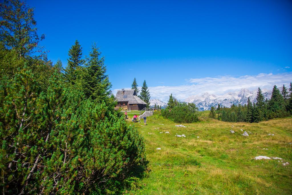 Chalet Tisa Velika Planina Stahovica Luaran gambar
