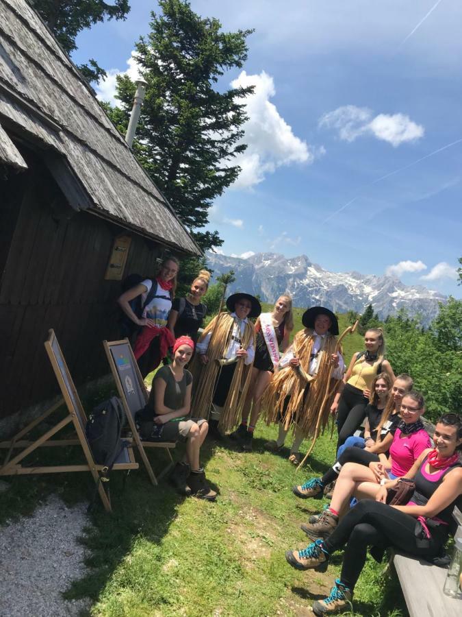Chalet Tisa Velika Planina Stahovica Luaran gambar