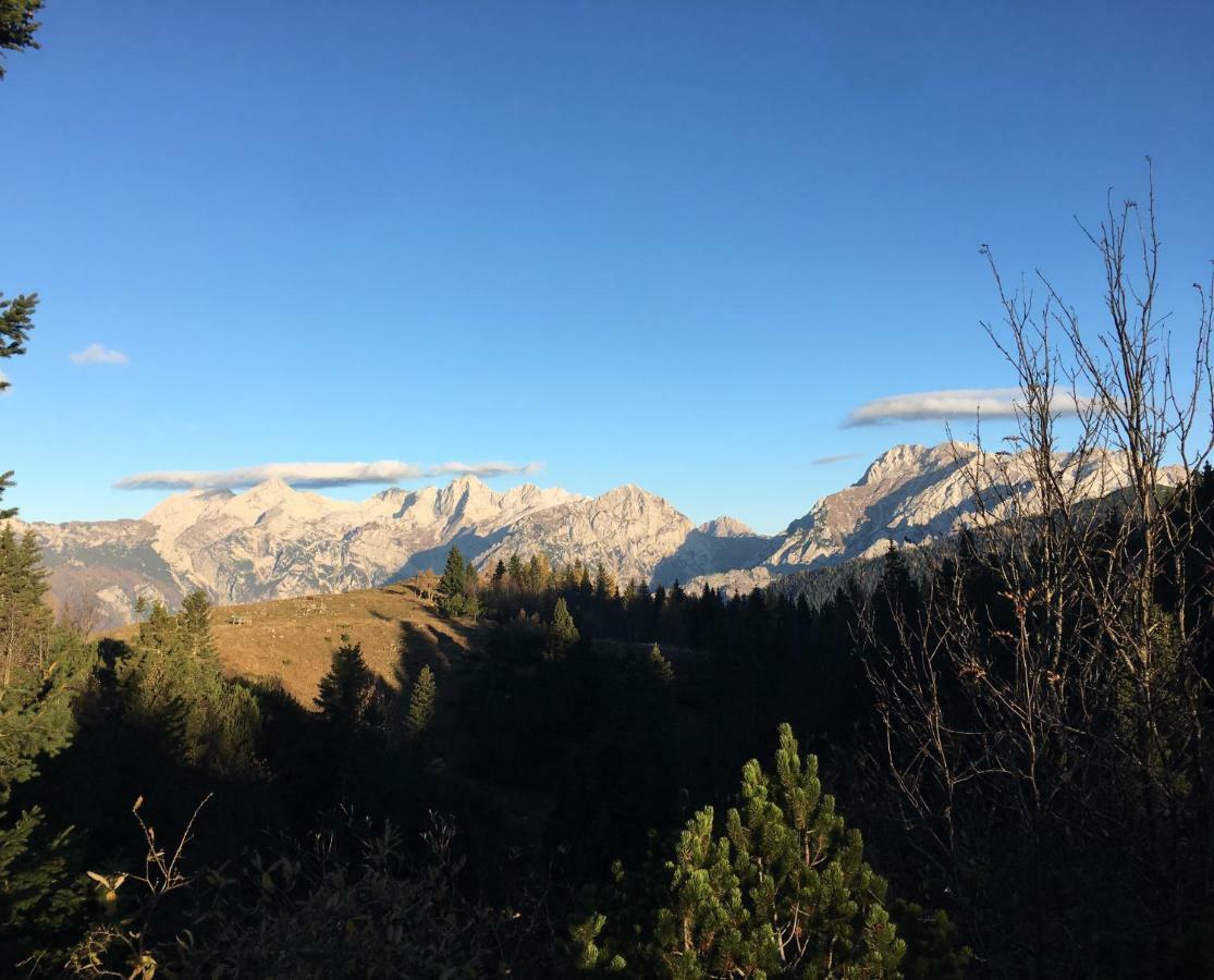 Chalet Tisa Velika Planina Stahovica Luaran gambar