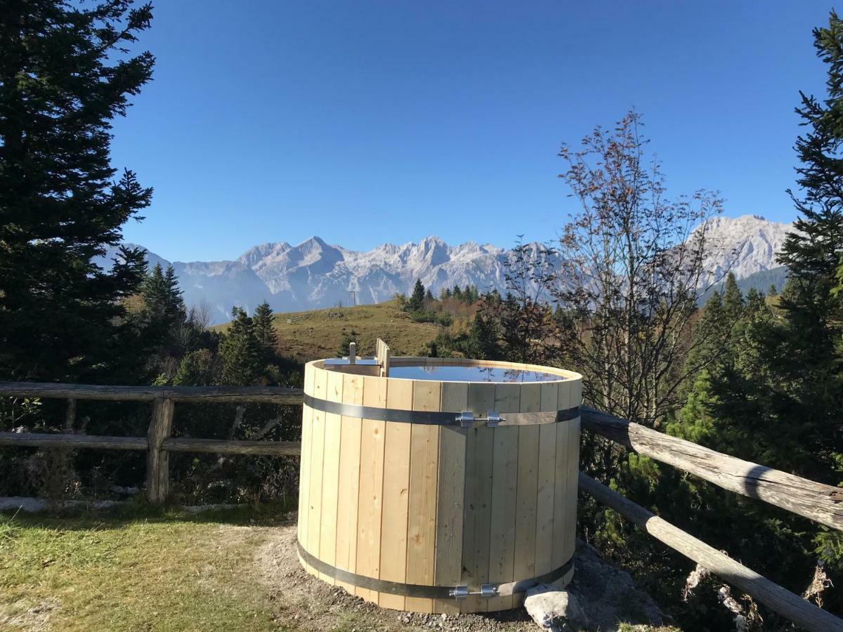 Chalet Tisa Velika Planina Stahovica Luaran gambar
